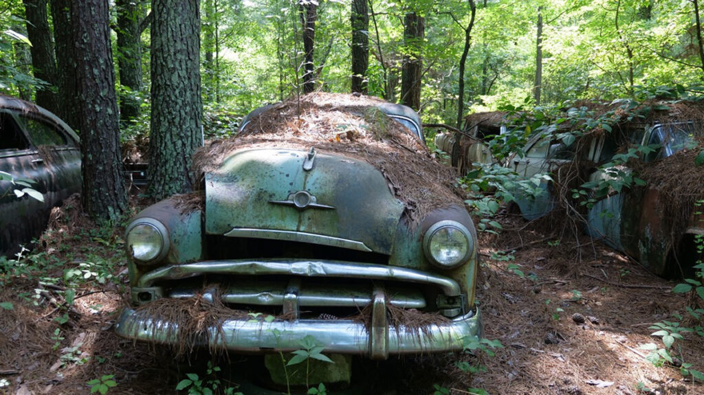 Abandoned-Vehicle-in-Forest-Courtesy-Stacey-Tenenbaum
