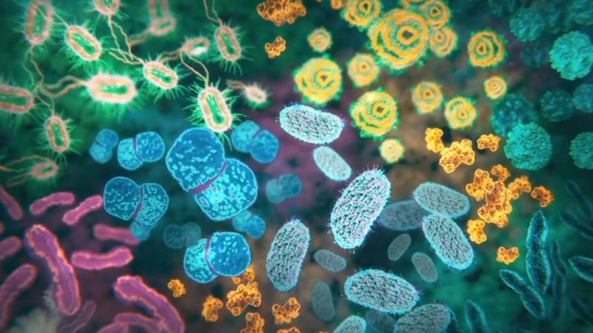 Sarah Schenck explore comment exploiter le pouvoir de nos microbes dans “The Invisible Extinction”